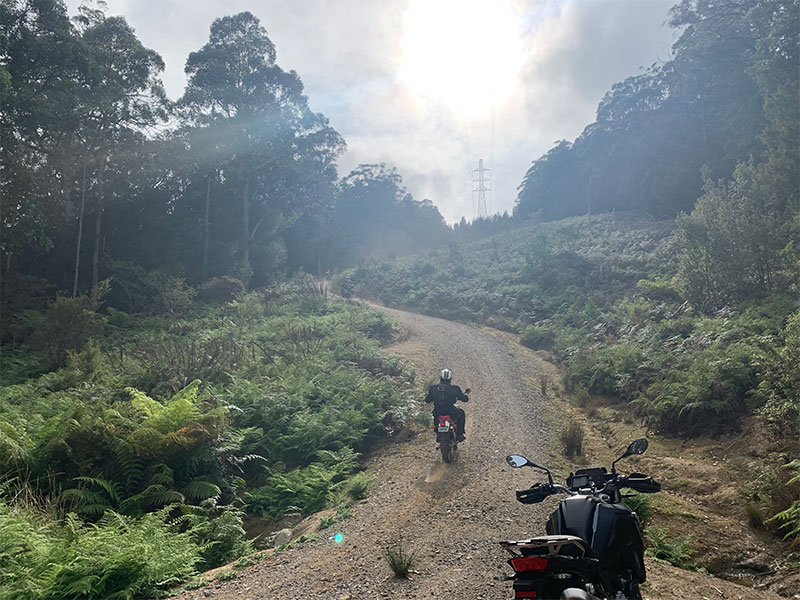 tasmania motorcycle tours